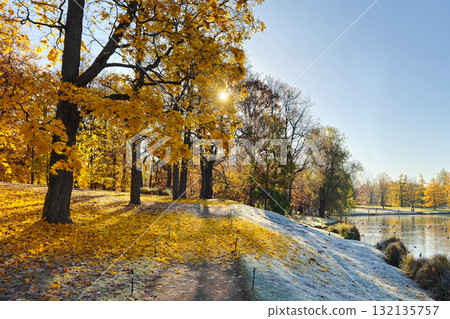 Morning autumn walk in a golden leaf-covered park 132135757