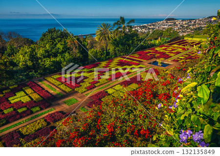 Amazing Botanical Garden of Funchal with various plants and flowers 132135849