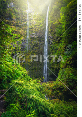 Waterfall near the famous Caldeirao Verde levada trail, Madeira Island Waterfall near the famous Caldeirao Verde levada trail, Madeira Island 132135850