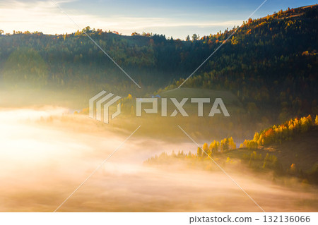 apuseni mountain landscape in autumn fog. travel background with colorful forest on the hill in dense glowing mist. countryside of romania in morning light. adventure atmosphere in magic weather apuseni mountain landscape in autumn fog. travel background with colorful forest on the hill in dense glowing mist. countryside of romania in morning light. adventure atmosphere in magic weather 132136066