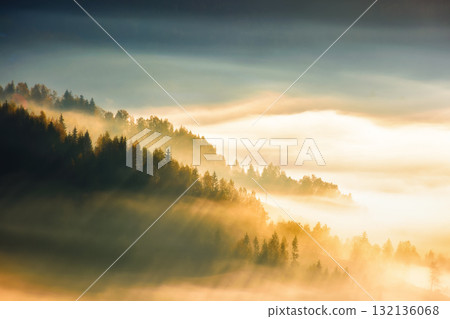 apuseni mountain landscape in autumn fog. travel background with coniferous forest on the hill in dense glowing mist. countryside of romania in morning light. adventure atmosphere in magic weather apuseni mountain landscape in autumn fog. travel background with coniferous forest on the hill in dense glowing mist. countryside of romania in morning light. adventure atmosphere in magic weather 132136068