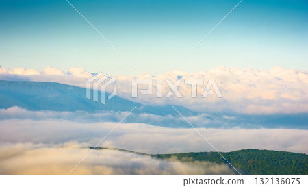 spring mountain landscape of ukraine with fog in valley and clouds on blue sky in morning light. dramatic atmosphere phenomenon view from the top. evaporating forest on the hills of carpathians 132136075