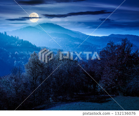 mountain landscape in autumn at night. colorful forest on hills in full moon light. beautiful view of carpathian rural valley in fall season. scenic place with deciduous trees near meadow 132136076