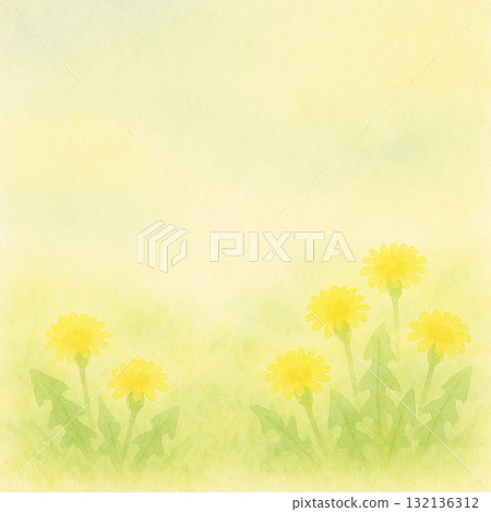 蒲公英系列：描繪一簇水彩風格蒲公英的底部背景 132136312