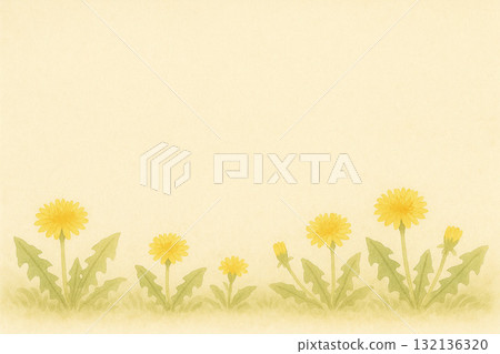 蒲公英系列：蒲公英盛開在底部類型背景 132136320