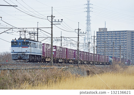 武藏野線 東川口～東浦與 JR Freight EF65-2081（新鶴見） 132136621