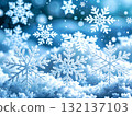 Crystal of snow	 132137103