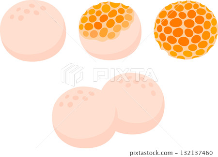 Diguene (Cyttaria espinosae) fungus illustration Diguene (Cyttaria espinosae) fungus illustration 132137460