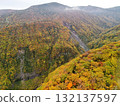 Aerial view of the autumn leaves on Echo Line 132137597