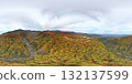 Aerial view of the autumn leaves on Echo Line 132137599