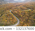 Aerial view of the autumn leaves on Echo Line 132137600