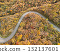 Aerial view of the autumn leaves on Echo Line 132137601