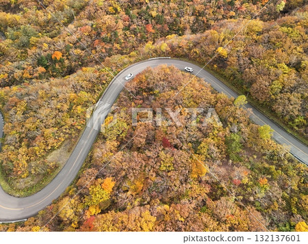 迴聲線上秋葉的鳥瞰圖 132137601