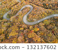 Aerial view of the autumn leaves on Echo Line 132137602