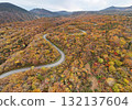 Aerial view of the autumn leaves on Echo Line 132137604