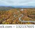 Aerial view of the autumn leaves on Echo Line 132137605
