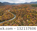 Aerial view of the autumn leaves on Echo Line 132137606