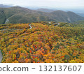 Aerial view of the autumn leaves on Echo Line 132137607