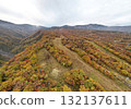Aerial view of Sumikawa Ski Resort in autumn colors 132137611