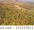 Aerial view of Sumikawa Ski Resort in autumn colors 132137613