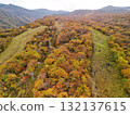 Aerial view of Sumikawa Ski Resort in autumn colors 132137615