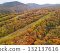 Aerial view of Sumikawa Ski Resort in autumn colors 132137616