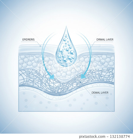 Illustration showing hydration process with water droplet penetrating skin layers. Concept of skincare, moisture, and dermatology science.. Vector illustration 132138774