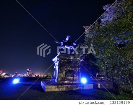 Night view of Sendai Castle Ruins (Honmaru Ruins) [Sendai City, Miyagi Prefecture] 132139159