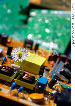 A daisy growing through a computer motherboard, energy consumption by artificial intelligence concept, environmental impacts A daisy growing through a computer motherboard, energy consumption by artificial intelligence concept, environmental impacts 132139770