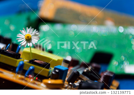 A daisy growing through a computer motherboard, energy consumption by artificial intelligence concept, environmental impacts A daisy growing through a computer motherboard, energy consumption by artificial intelligence concept, environmental impacts 132139771