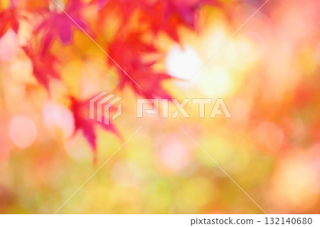 Out-of-focus of maple leaves [Bokeh] [Blur] 132140680