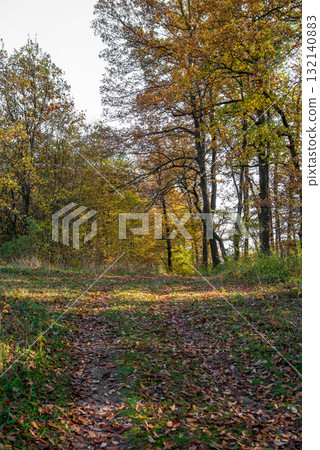 Landscape. dry autumn meadow landscape. autumn in forest Landscape. dry autumn meadow landscape. autumn in forest 132140883
