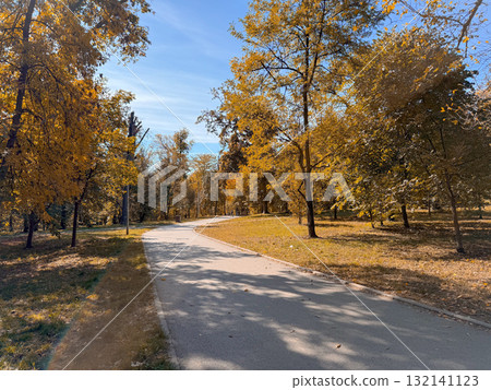 A sunlit park path curving through golden autumn trees and fallen leaves. Seasonal change, natural harmony, and peaceful reflection during a quiet afternoon walk. A sunlit park path curving through golden autumn trees and fallen leaves. Seasonal change, natural harmony, and peaceful reflection during a quiet afternoon walk. 132141123