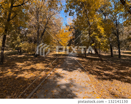 A sunlit path covered with fallen leaves leading through an autumn forest. Change, nostalgia, and quiet reflection symbolized by golden nature tones. A sunlit path covered with fallen leaves leading through an autumn forest. Change, nostalgia, and quiet reflection symbolized by golden nature tones. 132141130