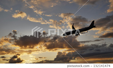 Passenger airplane landing at sunset in cloudy sky 132141474
