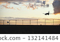 Airplane landing during sunset, silhouette of aircraft in beautiful evening sky 132141484