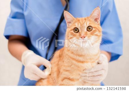 Veterinarian in blue suit with ginger cat Veterinarian in blue suit with ginger cat 132141598