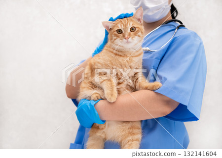 Veterinarian in blue suit with ginger cat 132141604