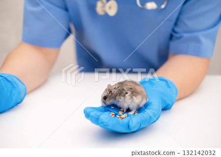 Veterinarian holding a hamster in his hand 132142032