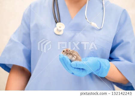 Veterinarian holding a hamster in his hand Veterinarian holding a hamster in his hand 132142243