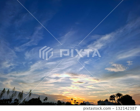 A stunning sunrise breaks over the horizon in southern Spain, illuminating the sky with warm hues. Palm trees frame the scene, creating a peaceful and serene atmosphere. 132142387
