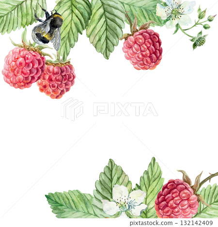 Raspberry branch frame. Ripe berries, green leaves and white flower. Hand drawn watercolor illustration. Vector clip art for juice, jam and marmalade labels. Suitable for postcards, cosmetic packaging 132142409