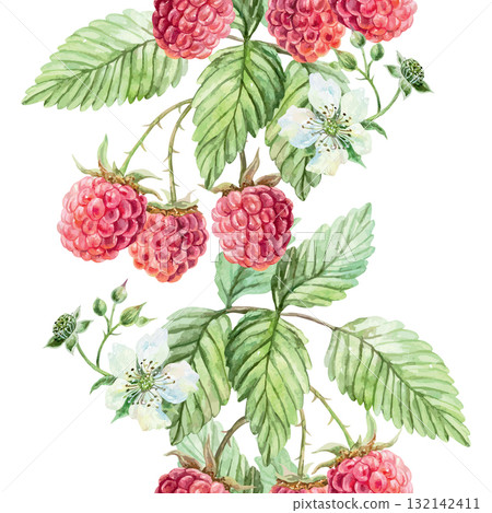 Raspberry seamless border. Ripe berries, green leaves and white flowers. Hand drawn watercolor illustration suitable for juice, jam and marmalade labels. Suitable for wrapping paper and textiles. 132142411