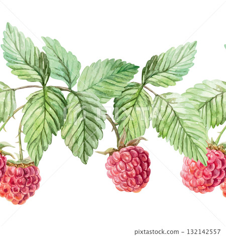 Raspberry seamless border, horizontal. Ripe berries and green leaves. Hand drawn watercolor illustration for juice, jam and marmalade labels. Suitable for wrapping paper and textiles. Raspberry seamless border, horizontal. Ripe berries and green leaves. Hand drawn watercolor illustration for juice, jam and marmalade labels. Suitable for wrapping paper and textiles. 132142557