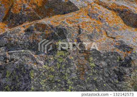 Textured rock covered in orange and green lichen outdoors 132142573