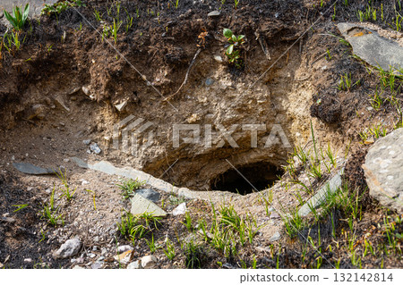 Animal burrow hole in natural outdoor environment Animal burrow hole in natural outdoor environment 132142814