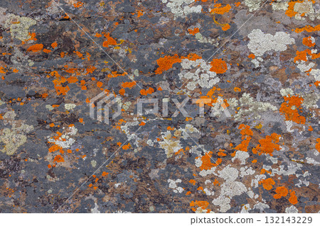 Textured rock surface covered in colorful lichen outdoors Textured rock surface covered in colorful lichen outdoors 132143229