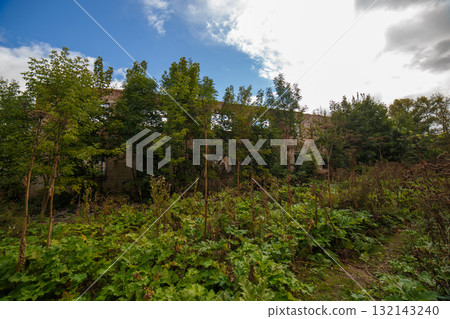 Overgrown brick ruin surrounded by nature in daytime 132143240