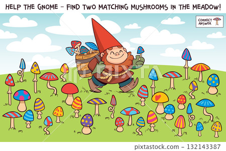 Spot the matching mushrooms. Hidden objects. Fun logic puzzle for kids Spot the matching mushrooms. Hidden objects. Fun logic puzzle for kids 132143387