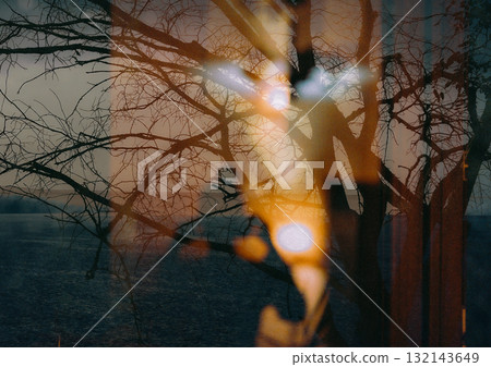 Bare tree branches against a soft, blurred sunset sky. The image captures a serene scene of a tree's silhouette against a muted sunset, creating a dreamy, atmospheric effect with light flares. Bare tree branches against a soft, blurred sunset sky. The image captures a serene scene of a tree's silhouette against a muted sunset, creating a dreamy, atmospheric effect with light flares. 132143649